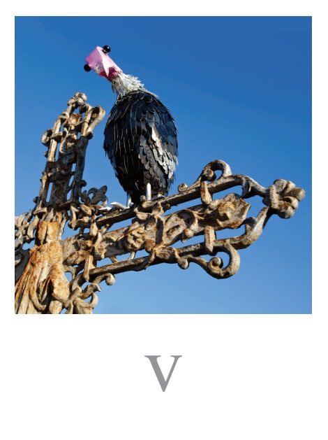vautour