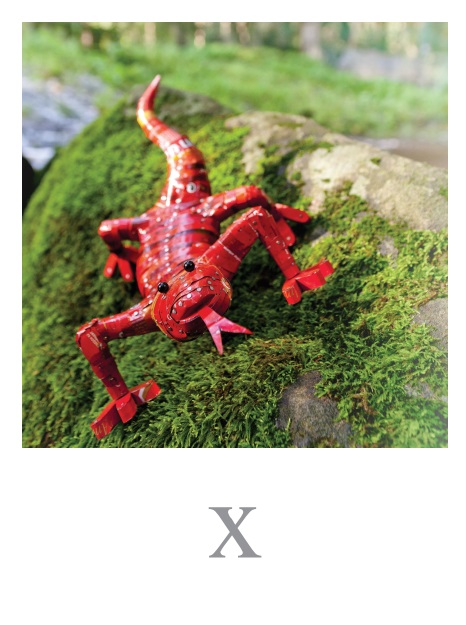 x