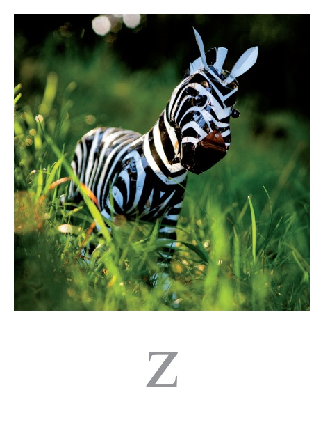 zebre