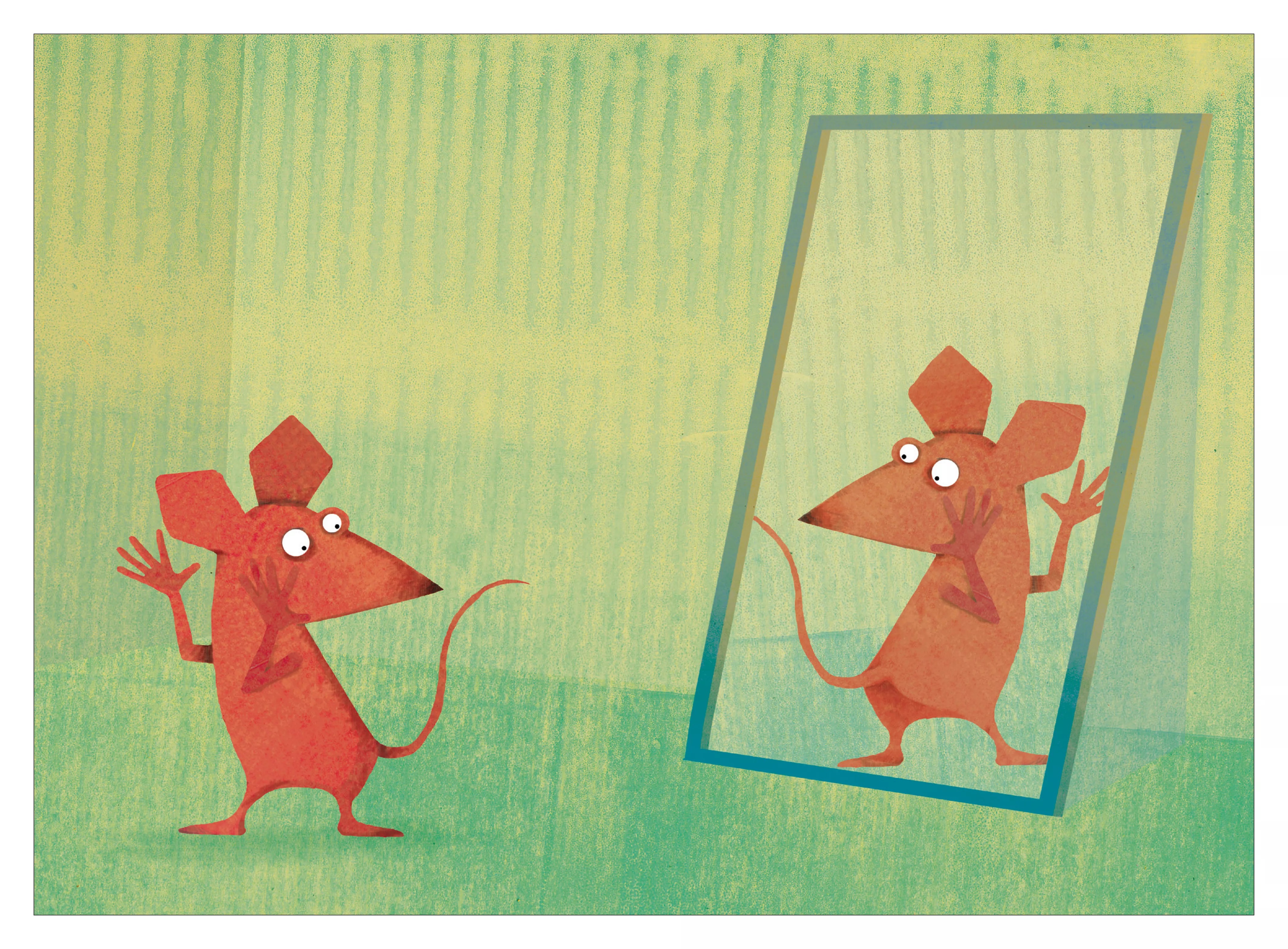 souris 6